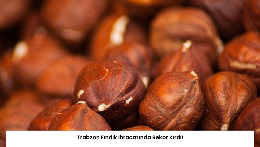 Trabzon Fındık İhracatında Rekor Kırdı!