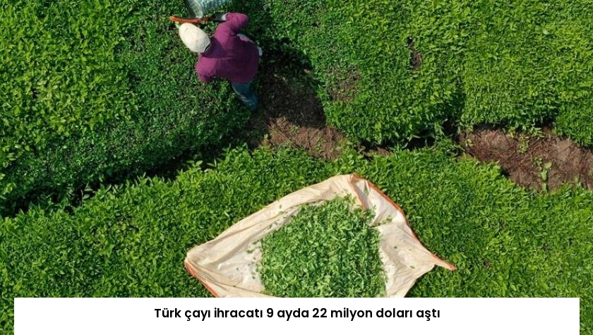Türk çayı ihracatı 9 ayda 22 milyon doları aştı