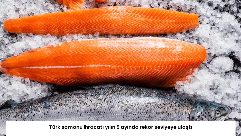 Türk somonu ihracatı yılın 9 ayında rekor seviyeye ulaştı