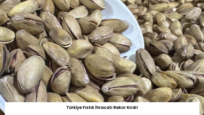 Türkiye Fıstık İhracatı Rekor Kırdı!
