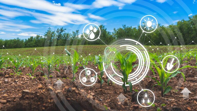 Türkiye’de Tarımda 5G Devrimi Başlıyor