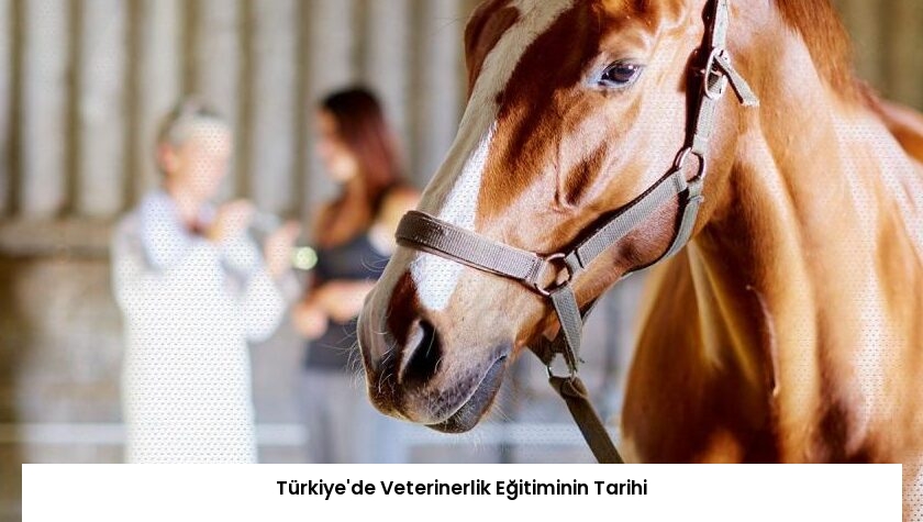 Türkiye’de Veterinerlik Eğitiminin Tarihi