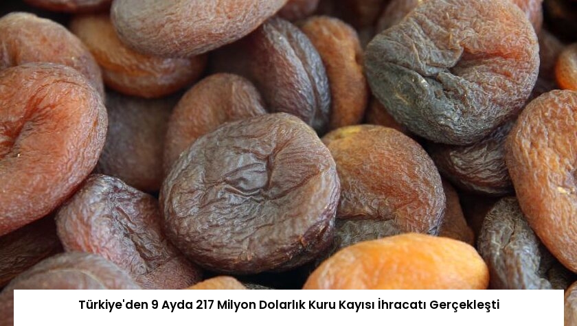 Türkiye’den 9 Ayda 217 Milyon Dolarlık Kuru Kayısı İhracatı Gerçekleşti