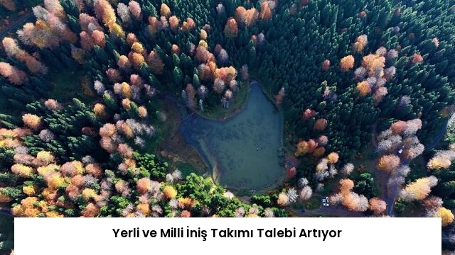Yerli ve Milli İniş Takımı Talebi Artıyor