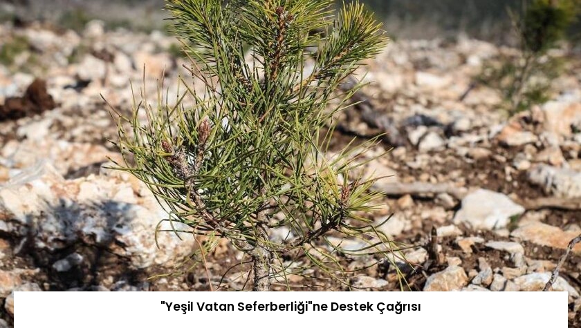“Yeşil Vatan Seferberliği”ne Destek Çağrısı