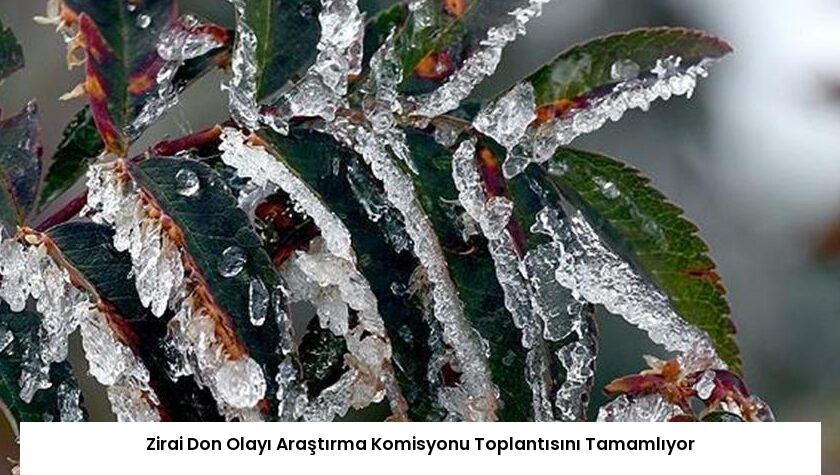 Zirai Don Olayı Araştırma Komisyonu Toplantısını Tamamlıyor