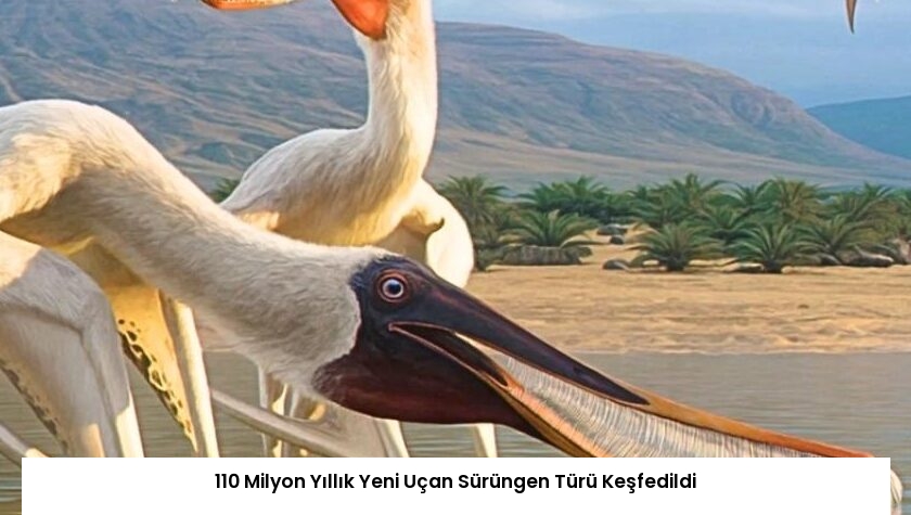 110 Milyon Yıllık Yeni Uçan Sürüngen Türü Keşfedildi