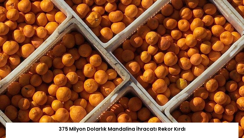 375 Milyon Dolarlık Mandalina İhracatı Rekor Kırdı