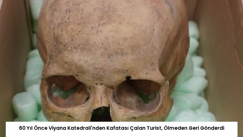 60 Yıl Önce Viyana Katedrali’nden Kafatası Çalan Turist, Ölmeden Geri Gönderdi
