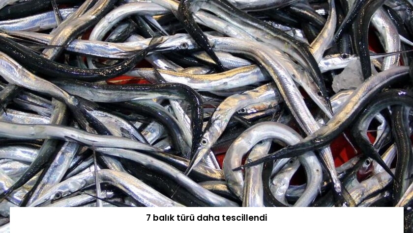 7 balık türü daha tescillendi