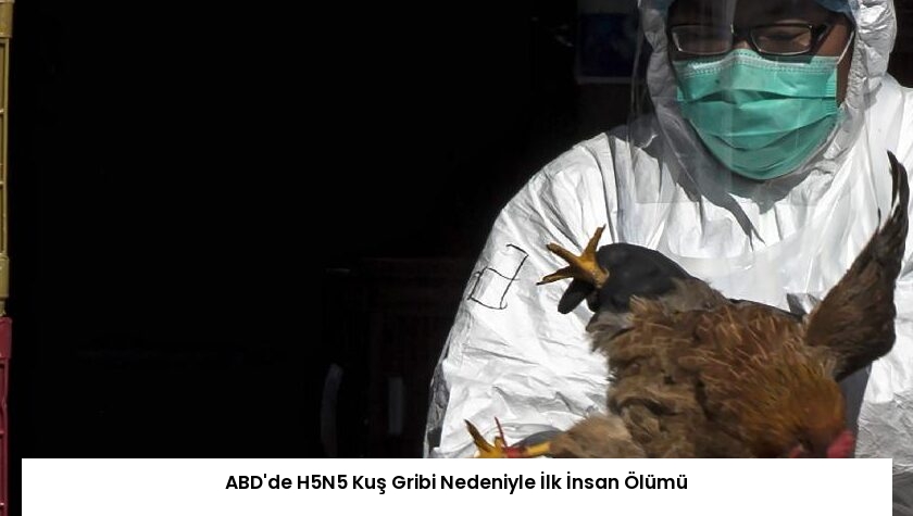 ABD’de H5N5 Kuş Gribi Nedeniyle İlk İnsan Ölümü