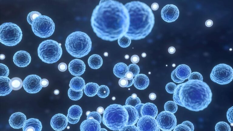 ABD’de Listeria Salgını: 6 Ölü, 25 Hastane Yatışı