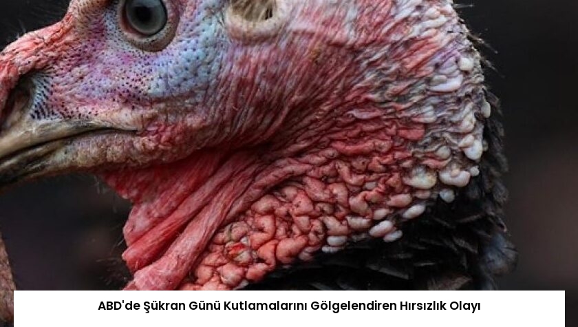 ABD’de Şükran Günü Kutlamalarını Gölgelendiren Hırsızlık Olayı