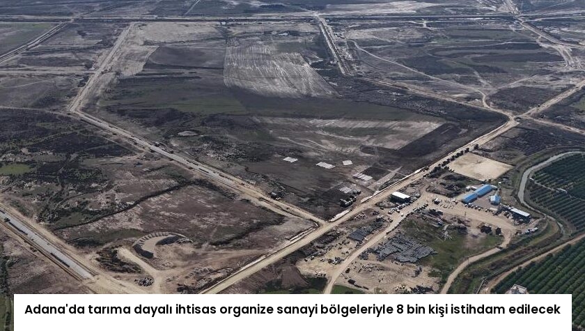 Adana’da tarıma dayalı ihtisas organize sanayi bölgeleriyle 8 bin kişi istihdam edilecek