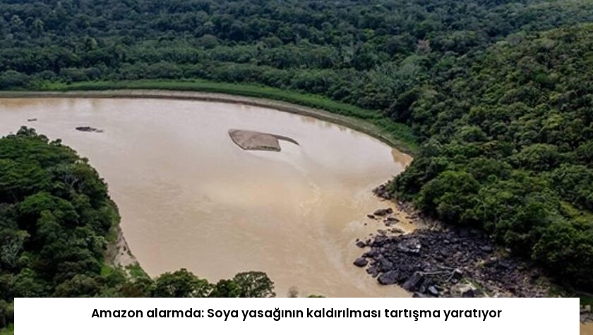 Amazon alarmda: Soya yasağının kaldırılması tartışma yaratıyor