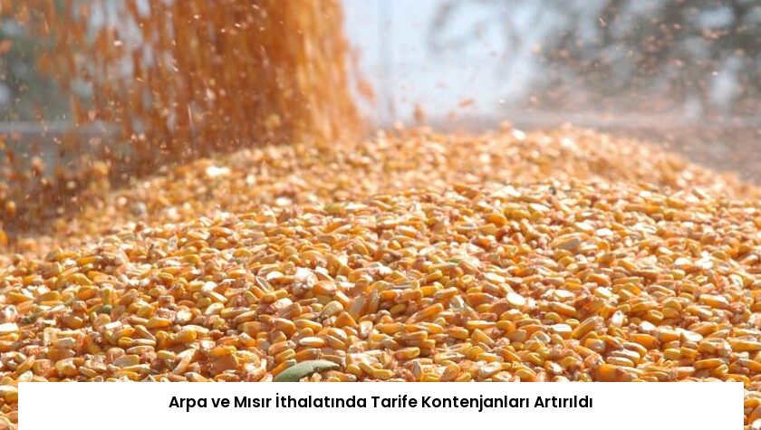 Arpa ve Mısır İthalatında Tarife Kontenjanları Artırıldı