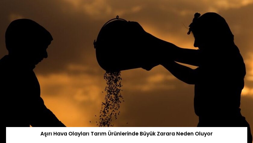 Aşırı Hava Olayları Tarım Ürünlerinde Büyük Zarara Neden Oluyor