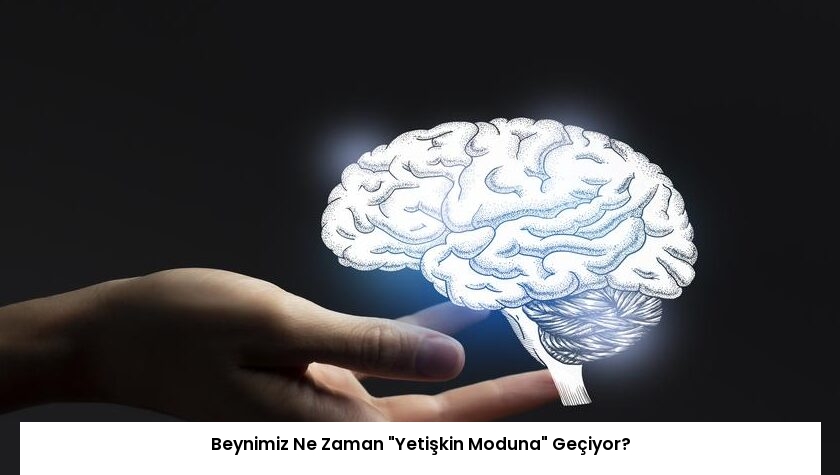 Beynimiz Ne Zaman “Yetişkin Moduna” Geçiyor?