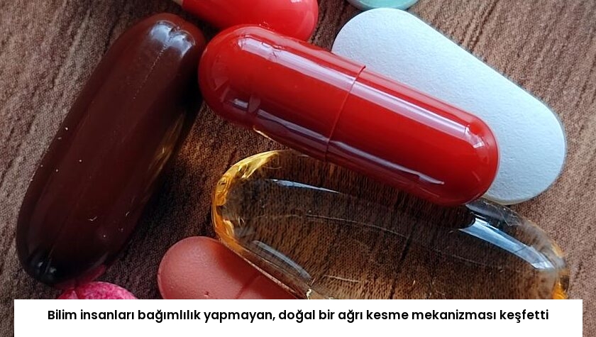 Bilim insanları bağımlılık yapmayan, doğal bir ağrı kesme mekanizması keşfetti