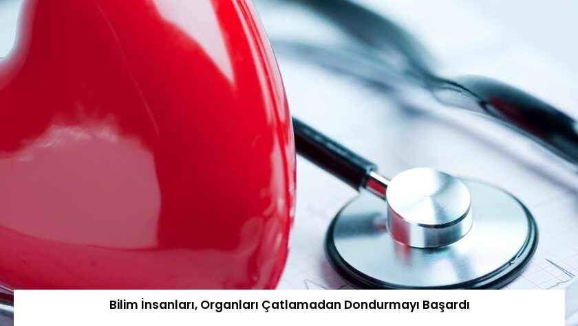 Bilim İnsanları, Organları Çatlamadan Dondurmayı Başardı