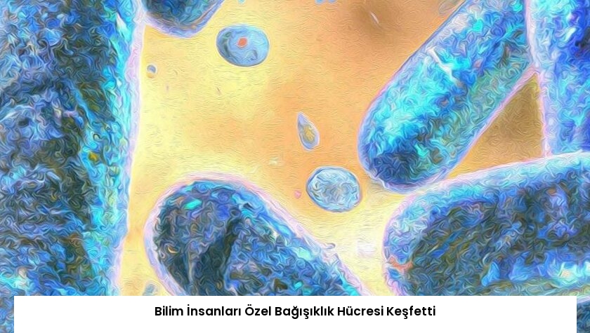 Bilim İnsanları Özel Bağışıklık Hücresi Keşfetti