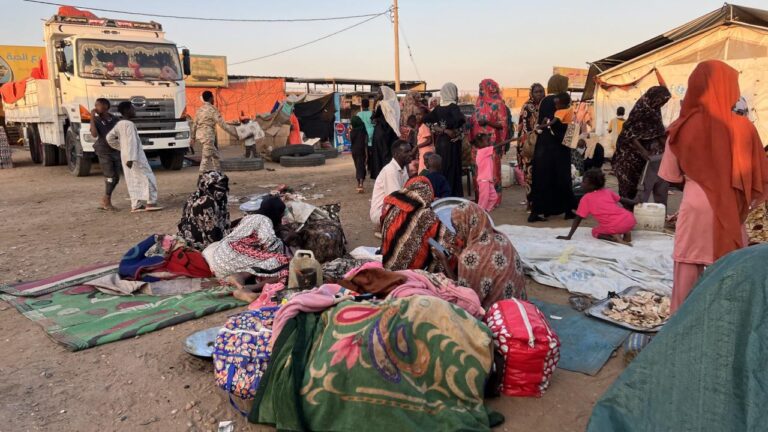BM Güvenlik Konseyi Sudan ve Güney Sudan’daki Çatışmaları Görüştü