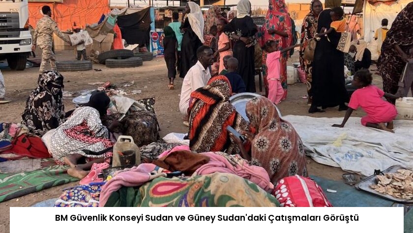 BM Güvenlik Konseyi Sudan ve Güney Sudan’daki Çatışmaları Görüştü