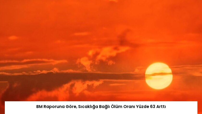 BM Raporuna Göre, Sıcaklığa Bağlı Ölüm Oranı Yüzde 63 Arttı