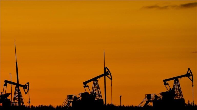 Brent Petrol Fiyatları Değişkenlik Gösteriyor