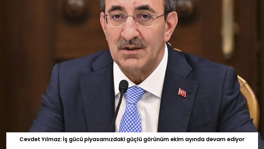 Cevdet Yılmaz: İş gücü piyasamızdaki güçlü görünüm ekim ayında devam ediyor