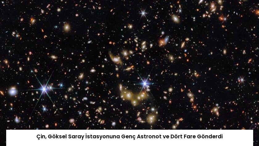 Çin, Göksel Saray İstasyonuna Genç Astronot ve Dört Fare Gönderdi