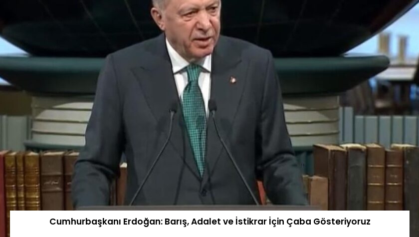Cumhurbaşkanı Erdoğan: Barış, Adalet ve İstikrar İçin Çaba Gösteriyoruz