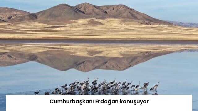 Cumhurbaşkanı Erdoğan konuşuyor
