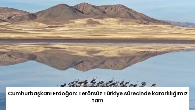 Cumhurbaşkanı Erdoğan: Terörsüz Türkiye sürecinde kararlılığımız tam