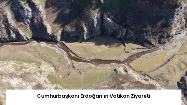 Cumhurbaşkanı Erdoğan’ın Vatikan Ziyareti