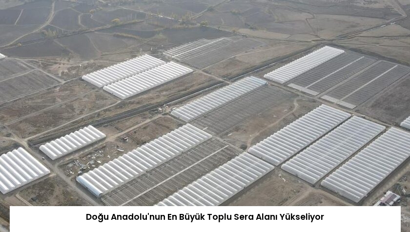Doğu Anadolu’nun En Büyük Toplu Sera Alanı Yükseliyor