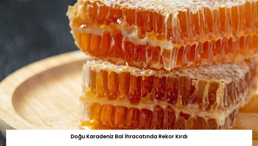 Doğu Karadeniz Bal İhracatında Rekor Kırdı