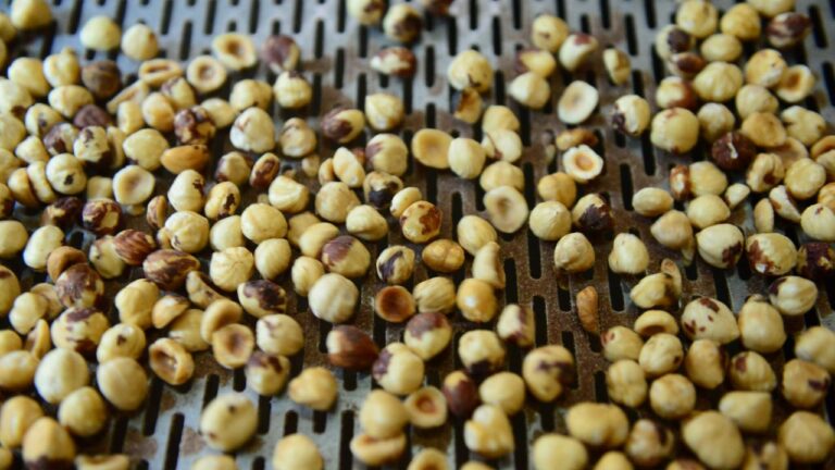 Düzce’den AB Ülkelerine İç Fındık İhracatı Devam Ediyor