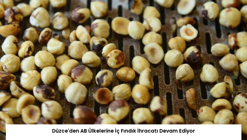 Düzce’den AB Ülkelerine İç Fındık İhracatı Devam Ediyor
