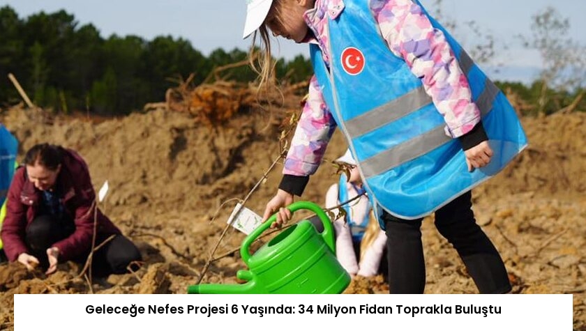 Geleceğe Nefes Projesi 6 Yaşında: 34 Milyon Fidan Toprakla Buluştu