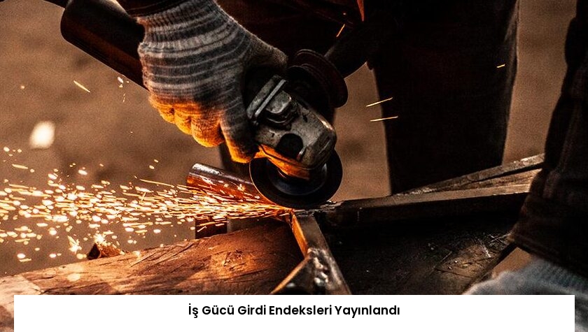 İş Gücü Girdi Endeksleri Yayınlandı
