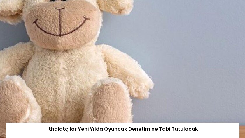 İthalatçılar Yeni Yılda Oyuncak Denetimine Tabi Tutulacak