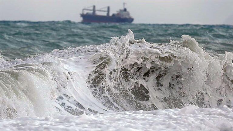 Japonya’da Depremin Ardından Hafif Tsunami Olayı