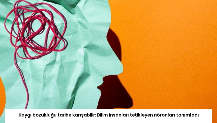 Kaygı bozukluğu tarihe karışabilir: Bilim insanları tetikleyen nöronları tanımladı