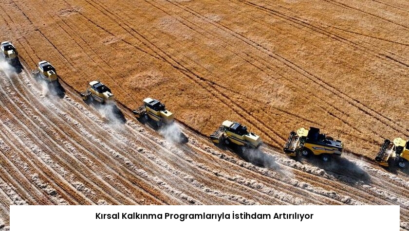 Kırsal Kalkınma Programlarıyla İstihdam Artırılıyor