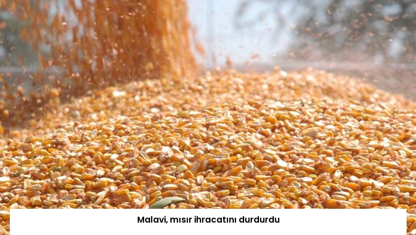 Malavi, mısır ihracatını durdurdu