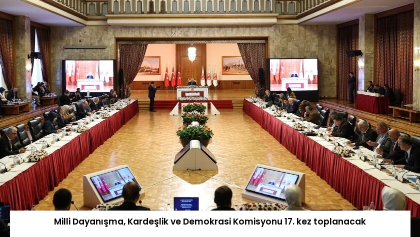 Milli Dayanışma, Kardeşlik ve Demokrasi Komisyonu 17. kez toplanacak