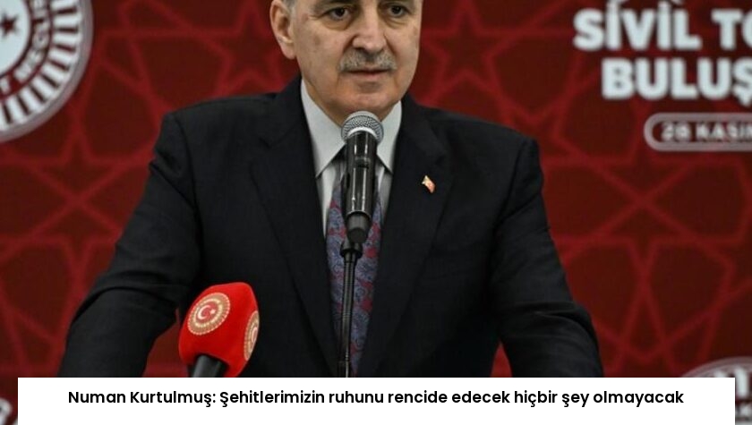 Numan Kurtulmuş: Şehitlerimizin ruhunu rencide edecek hiçbir şey olmayacak