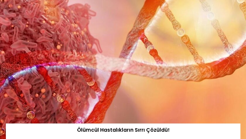 Ölümcül Hastalıkların Sırrı Çözüldü!