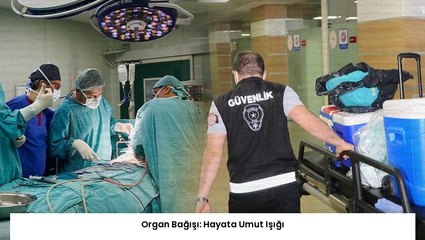 Organ Bağışı: Hayata Umut Işığı